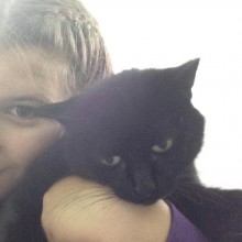 Cattery | Marton | Charnwood House Kennels Ltd