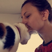 Cattery | Marton | Charnwood House Kennels Ltd