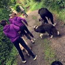 Kennel | Charnwood House Kennels Ltd