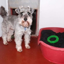 Kennel | Charnwood House Kennels Ltd