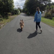 Kennel | Charnwood House Kennels Ltd