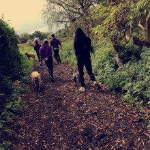 Kennel | Charnwood House Kennels Ltd