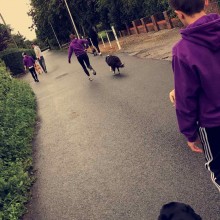 Kennel | Charnwood House Kennels Ltd