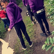 Kennel | Charnwood House Kennels Ltd