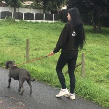 Kennel | Charnwood House Kennels Ltd