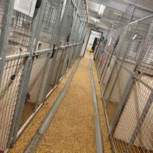 Kennel | Charnwood House Kennels Ltd