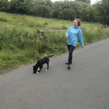 Kennel | Charnwood House Kennels Ltd