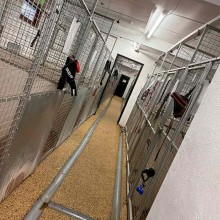 Kennel | Charnwood House Kennels Ltd