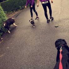 Kennel | Charnwood House Kennels Ltd