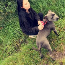 Kennel | Charnwood House Kennels Ltd