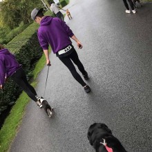 Kennel | Charnwood House Kennels Ltd