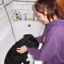 Bathing | Charnwood House Kennels Ltd