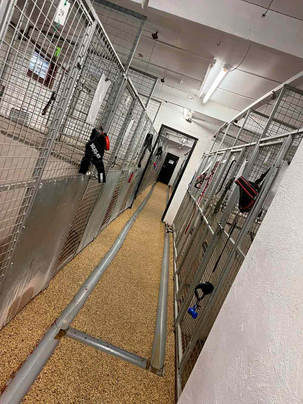 Charnwood House | Kennel Gallery Images