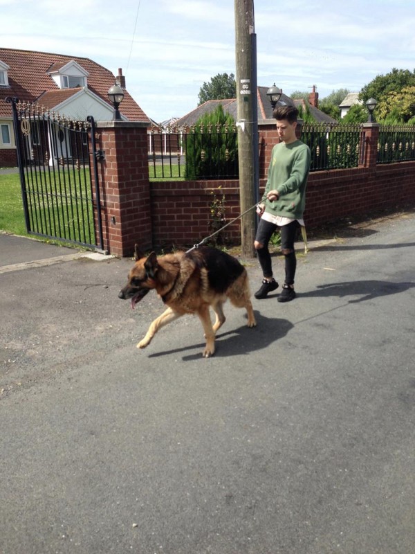 Charnwood House | Kennel Gallery Images