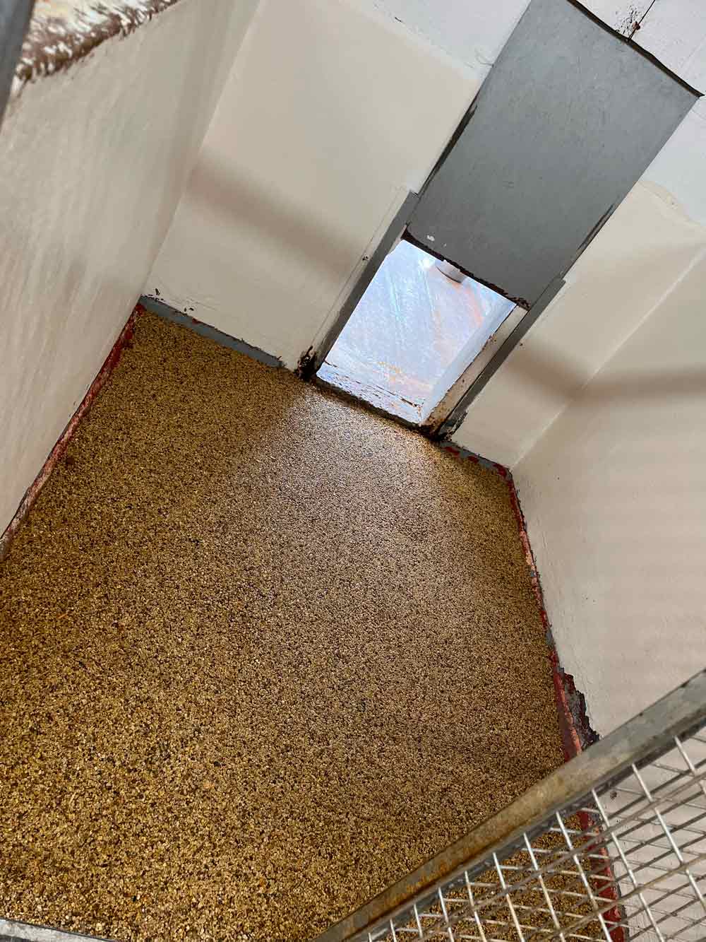 Charnwood House | Kennel Gallery Images