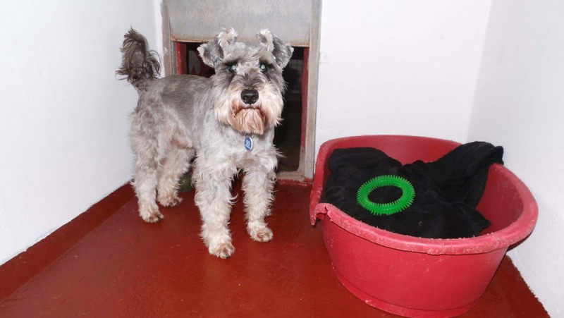 Charnwood House | Kennel Gallery Images