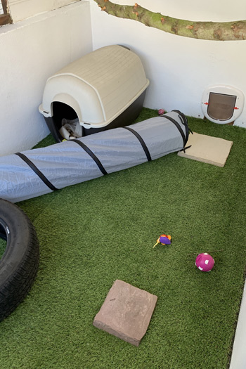 Our Cattery Facilities