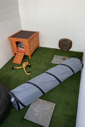 Our Cattery Facilities