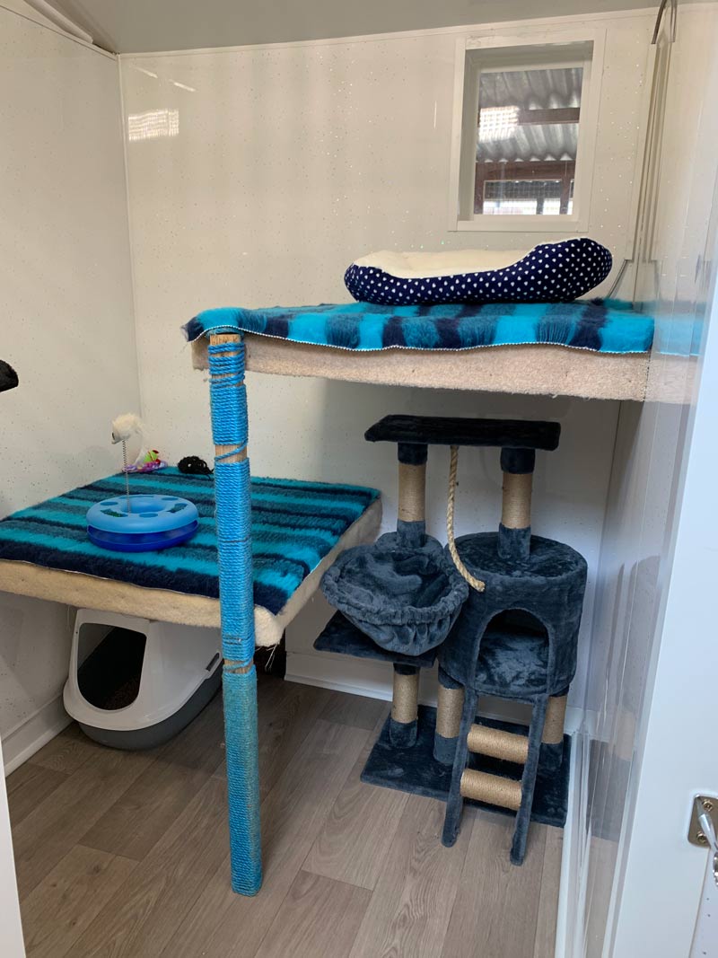 Our Cattery Facilities