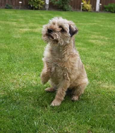 Tint Technology Secur-fix