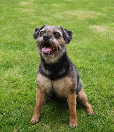 Tint Technology Secur-fix