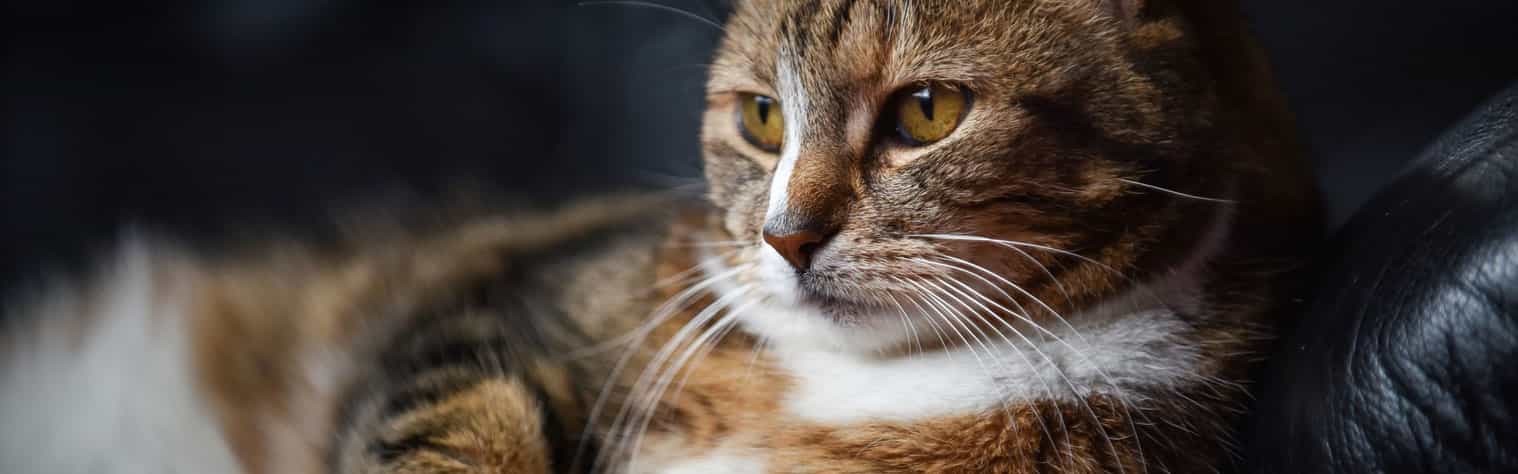 Charnwood House | Slider 1