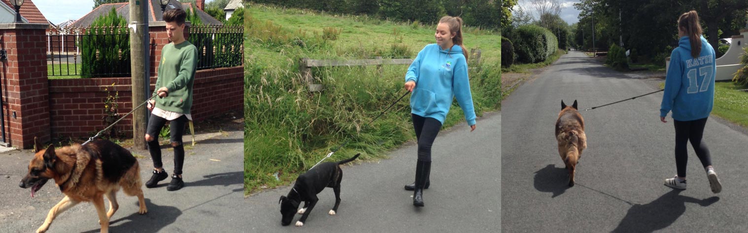 Charnwood House | Slider 5