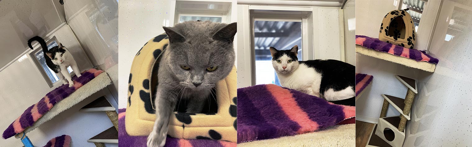 Charnwood House | Slider 2